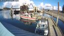 ./images/quadra/hbidock/20250305/hbidock20250305_145508M.jpg