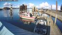 ./images/quadra/hbidock/20250305/hbidock20250305_154508M.jpg