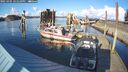 ./images/quadra/hbidock/20250305/hbidock20250305_161010M.jpg