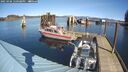 ./images/quadra/hbidock/20250306/hbidock20250306_120508M.jpg