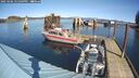 ./images/quadra/hbidock/20250306/hbidock20250306_121509M.jpg