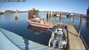 ./images/quadra/hbidock/20250306/hbidock20250306_123009M.jpg