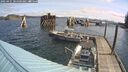 ./images/quadra/hbidock/20250421/hbidock20250421_101509M.jpg