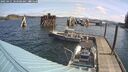 ./images/quadra/hbidock/20250421/hbidock20250421_103508M.jpg