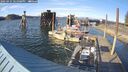 ./images/quadra/hbidock/20250421/hbidock20250421_181008M.jpg