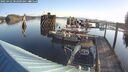 ./images/quadra/hbidock/20250422/hbidock20250422_082009M.jpg
