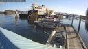./images/quadra/hbidock/20250422/hbidock20250422_084008M.jpg