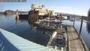 ./images/quadra/hbidock/20250422/hbidock20250422_084500M.jpg