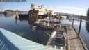 ./images/quadra/hbidock/20250422/hbidock20250422_085000M.jpg