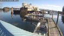 ./images/quadra/hbidock/20250422/hbidock20250422_085009M.jpg