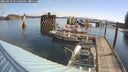 ./images/quadra/hbidock/20250422/hbidock20250422_091508M.jpg