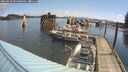./images/quadra/hbidock/20250422/hbidock20250422_095009M.jpg
