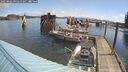 ./images/quadra/hbidock/20250422/hbidock20250422_095500M.jpg