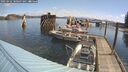 ./images/quadra/hbidock/20250422/hbidock20250422_100508M.jpg