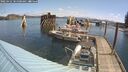 ./images/quadra/hbidock/20250422/hbidock20250422_101009M.jpg
