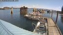 ./images/quadra/hbidock/20250422/hbidock20250422_101509M.jpg