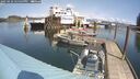 ./images/quadra/hbidock/20250422/hbidock20250422_125500M.jpg