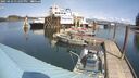 ./images/quadra/hbidock/20250422/hbidock20250422_131007M.jpg