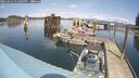 ./images/quadra/hbidock/20250422/hbidock20250422_135009M.jpg