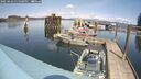 ./images/quadra/hbidock/20250422/hbidock20250422_135508M.jpg