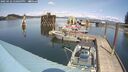 ./images/quadra/hbidock/20250422/hbidock20250422_140009M.jpg
