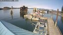 ./images/quadra/hbidock/20250422/hbidock20250422_155000M.jpg