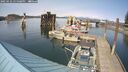 ./images/quadra/hbidock/20250422/hbidock20250422_155008M.jpg