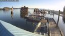 ./images/quadra/hbidock/20250423/hbidock20250423_083000M.jpg