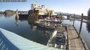 ./images/quadra/hbidock/20250423/hbidock20250423_085000M.jpg