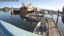 ./images/quadra/hbidock/20250423/hbidock20250423_085009M.jpg