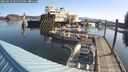 ./images/quadra/hbidock/20250423/hbidock20250423_090000M.jpg