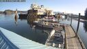 ./images/quadra/hbidock/20250423/hbidock20250423_090007M.jpg