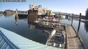 ./images/quadra/hbidock/20250423/hbidock20250423_091000M.jpg