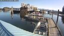 ./images/quadra/hbidock/20250423/hbidock20250423_091008M.jpg