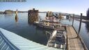 ./images/quadra/hbidock/20250423/hbidock20250423_091509M.jpg