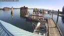 ./images/quadra/hbidock/20250423/hbidock20250423_092000M.jpg