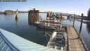 ./images/quadra/hbidock/20250423/hbidock20250423_092009M.jpg