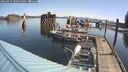 ./images/quadra/hbidock/20250423/hbidock20250423_100500M.jpg