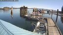 ./images/quadra/hbidock/20250423/hbidock20250423_102000M.jpg