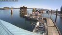 ./images/quadra/hbidock/20250423/hbidock20250423_103009M.jpg