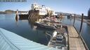 ./images/quadra/hbidock/20250423/hbidock20250423_105008M.jpg