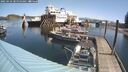 ./images/quadra/hbidock/20250423/hbidock20250423_110000M.jpg
