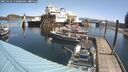 ./images/quadra/hbidock/20250423/hbidock20250423_110008M.jpg