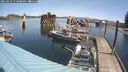 ./images/quadra/hbidock/20250423/hbidock20250423_112508M.jpg