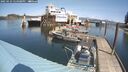 ./images/quadra/hbidock/20250423/hbidock20250423_124008M.jpg
