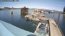 ./images/quadra/hbidock/20250423/hbidock20250423_142009M.jpg