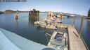 ./images/quadra/hbidock/20250423/hbidock20250423_143500M.jpg
