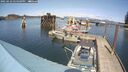 ./images/quadra/hbidock/20250423/hbidock20250423_144509M.jpg