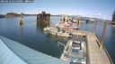 ./images/quadra/hbidock/20250423/hbidock20250423_151500M.jpg