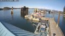 ./images/quadra/hbidock/20250423/hbidock20250423_162500M.jpg